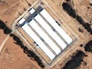 Newcastle Disease Outbreak in Israel