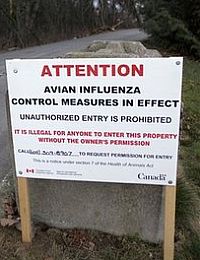 Canada: The avian influenza outbreak in B.C.