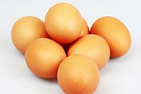 Denmark: Salmonella in eggs