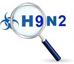 H9N2 Seroprevalence among Poultry Workers in Pune, India, 2010
