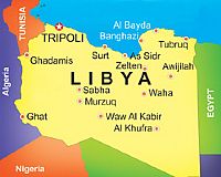 Libya reports first H5N1 avian influenza outbreak