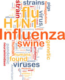 H1N1 found in turkeys