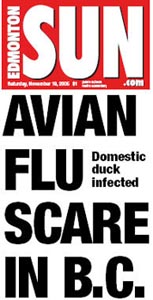 Canada: Avian influenza found in duck on commercial farm in B.C. Fraser Valley