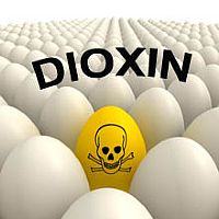 Dioxin: more than 4,700 farms in Germany had now been closed