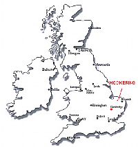 UK - Avian influenza test result on dead chickens