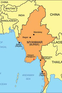 Myanmar tests show first case of avian influenza