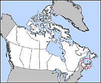 Canada finds avian influenza, unclear what virus strain