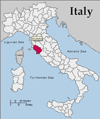 Italy: Avian influenza near Grosseto, hundreds of wild ducks culled.