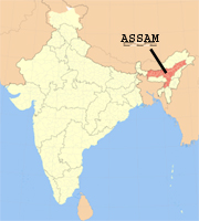H5N1 confirmed in Assam India
