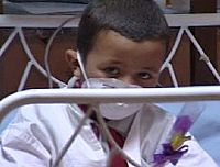 Egypt: A 5-year-old boy from the Nile Delta region tested positive for the H5N1 avian influenza strain