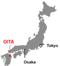 Japan: Oita culls 13,000 chickens due to avian influenza
