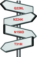 Nature Publishes The Kawaoka H5N1 Study