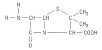 aminopenicillanic