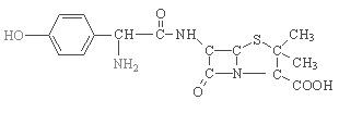 amoxycillin