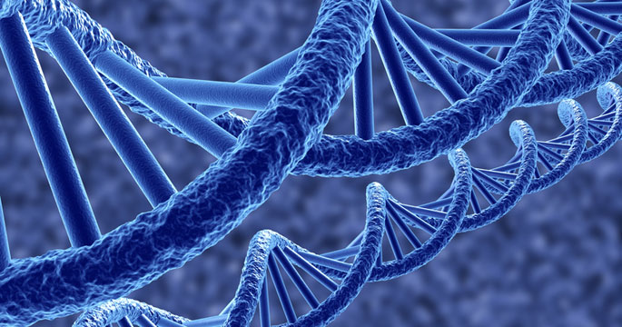 <b>הניתן לחיזוי ניתן למניעה</b>