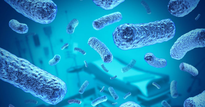 <b>לפני  הכל אל תזיק</b>