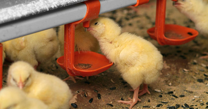 <b>מניעה עדיפה על ריפוי</b>