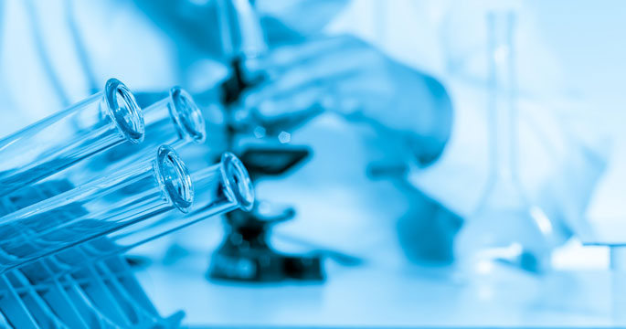 <b>הידע הוא חסר תועלת, אלא אם כן הוא נגיש</b>